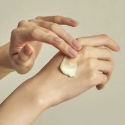 SOLID-IN Ceramide Cream 9 SOLID-IN Ceramide Cream -Cosrx Shop 05 e976facc a506 4cae bb25 e5b49afa93ad