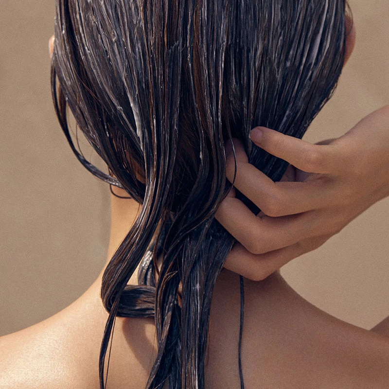 Rosemary Hair Thickening Conditioner 3 Rosemary Hair Thickening Conditioner - Image 3