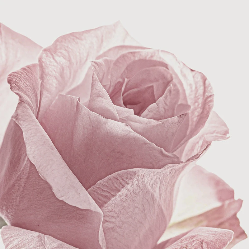 Perfumed Hair Mist 4 Perfumed Hair Mist - Image 4