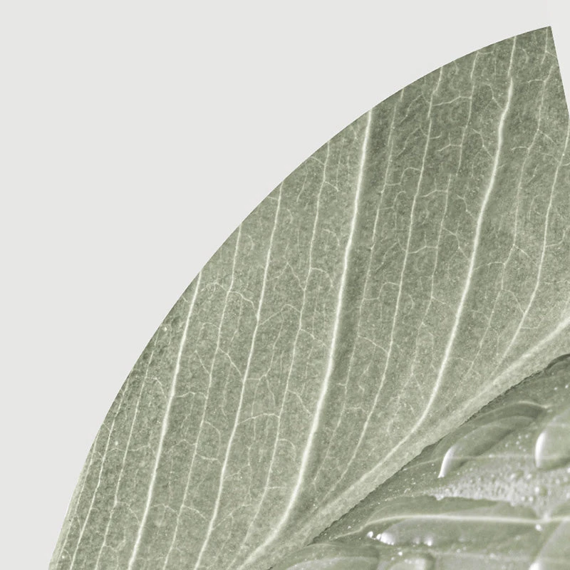 Perfumed Hair Mist 2 Perfumed Hair Mist - Image 2