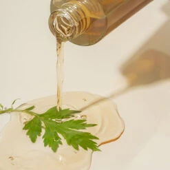 Mugwort Essence 12 Mugwort Essence -Cosrx Shop 243236613 957699294810263 7827021257574720424 n