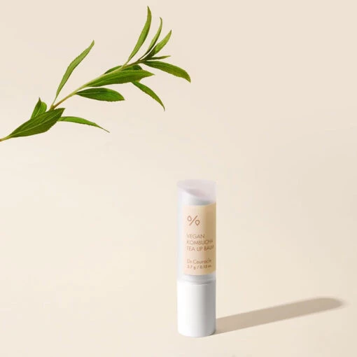 Vegan Kombucha Tea Lip Balm - Image 4
