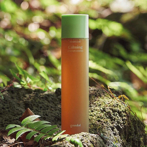 Houttuynia Cordata Calming Essence - Image 8