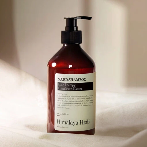 Shampoo Signature - Image 3