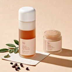 Vegan Kombucha Tea Gel Cream -Cosrx Shop 313739499 2777762759033805 2310196487610856361 n