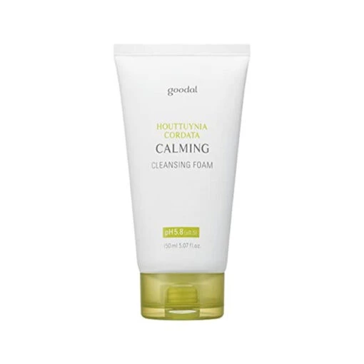Houttuynia Cordata Calming Cleansing Foam