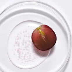 Vegan Active Berry First Essence 13 Vegan Active Berry First Essence -Cosrx Shop 329394225 847440899888450 4724921861699681868 n