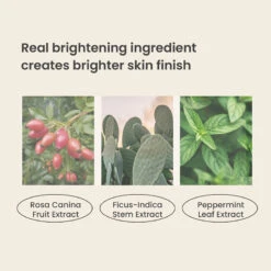 Artless Perfect Cushion -Cosrx Shop 343289038 953738459142138 3124389227403535657 n