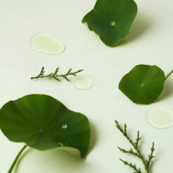 Clear Code Superfruit Serum 18 Clear Code Superfruit Serum -Cosrx Shop 375626193 1317417238869210 6708875863427026865 n 610fef0f 4aab 4522 b3f6 a7a23678a574