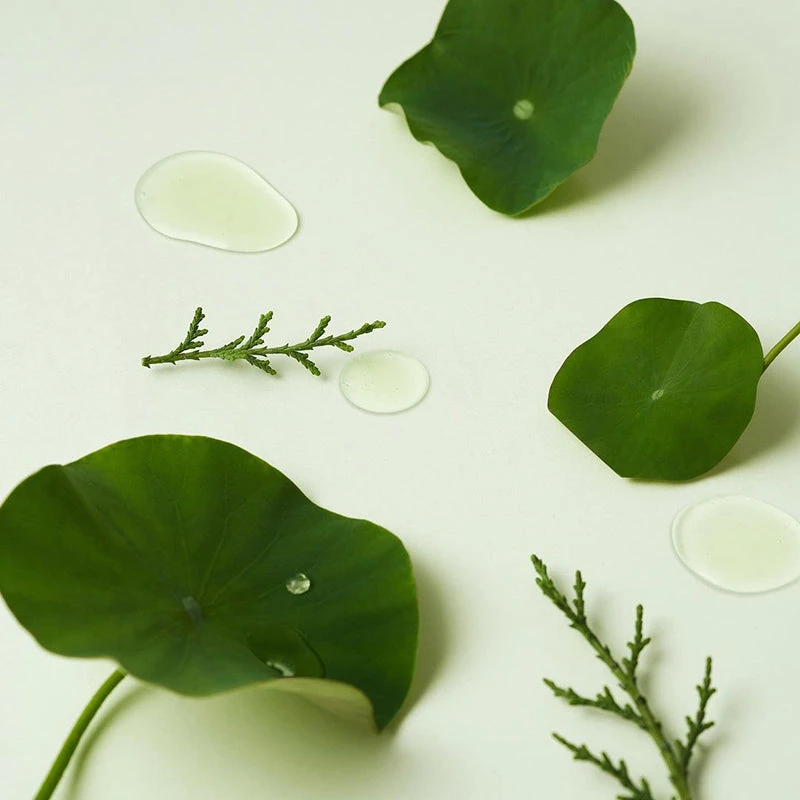 Clear Code Superfruit Serum 9 Clear Code Superfruit Serum - Image 9