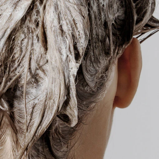 Shampoo Signature - Image 5