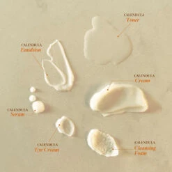 Calendula Relief Cleansing Foam 15 Calendula Relief Cleansing Foam -Cosrx Shop 415281348 687496590233858 6843612743298788119 n