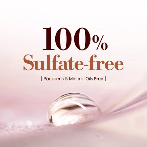 Honey & Macadamia Shampoo - Image 10