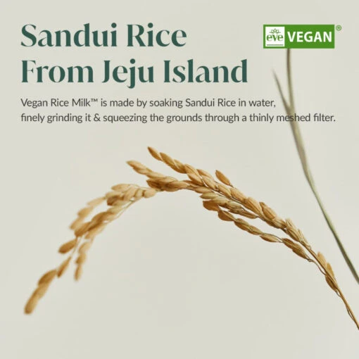 Vegan Rice Milk Moisturizing Cream - Image 7