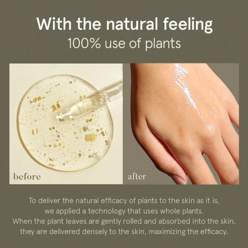 Green Tea Serum 8 Green Tea Serum - Image 8