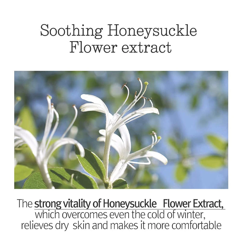 Sleeping Mask 8 Sleeping Mask - Image 8