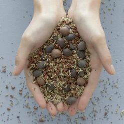 Vital Treatment 9 Essential Seeds -Cosrx Shop 61UjrUnY1eL. SL1000