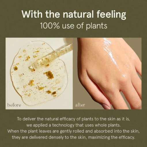 Houttuynia Cordata Serum - Image 9