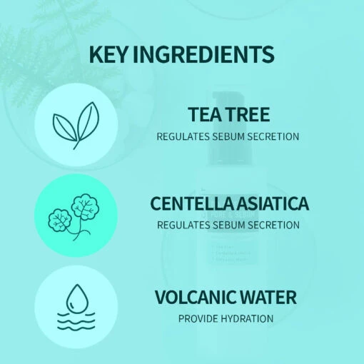 Tea Tree Pore & Sebum Toner - Image 3