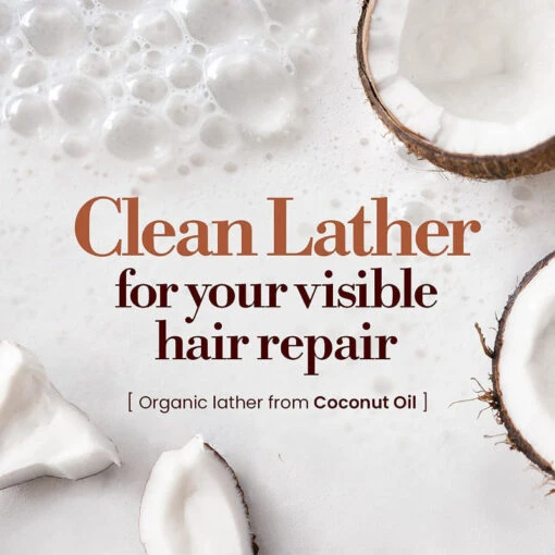 Honey & Macadamia Shampoo - Image 11