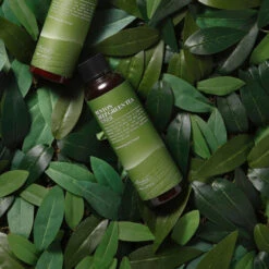 Deep Green Tea Toner -Cosrx Shop 67839415 415849929057354 1823961972148486217 n