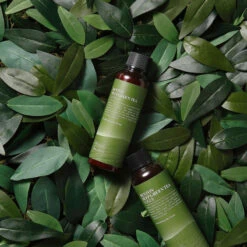 Deep Green Tea Lotion -Cosrx Shop 67839415 415849929057354 1823961972148486217 n 444f0ed6 be12 4985 af50 f6f415395a4d