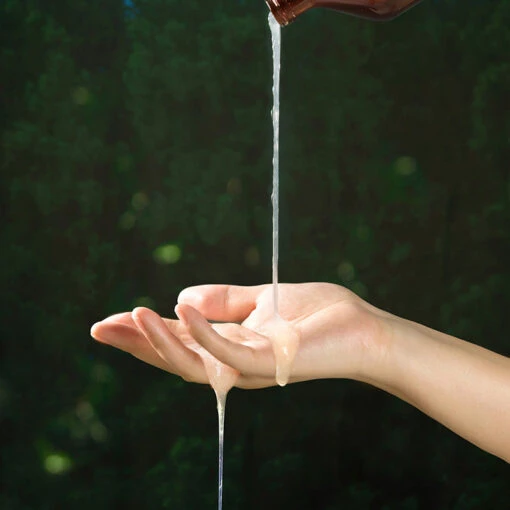 Shampoo Signature - Image 4