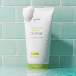 Houttuynia Cordata Calming Cleansing Foam -Cosrx Shop 73 33