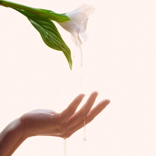 Reviving Rose Infusion Serum - Image 3