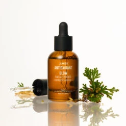 Antioxidant Glow Facial Essence 14 Antioxidant Glow Facial Essence -Cosrx Shop AntioxidantEssence EditorialImage 11