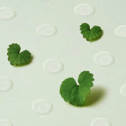 Wonder Releaf Centella Spot Patch -Cosrx Shop Centella Spot Patch slide 02