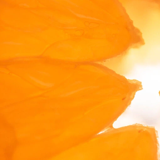 Mandarin Vitamin C5 Dark Spot Serum - Image 9