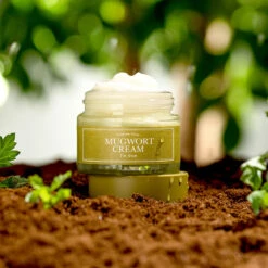 Mugwort Cream -Cosrx Shop IFR mugwort cream 04