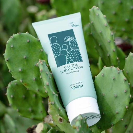 Cactus Body Lotion - Image 4