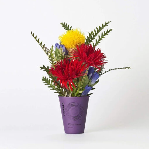 Maqui Berry Anti-Oxidant Cream - Image 3