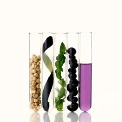 Soothing Vegan Lip Oil -Cosrx Shop SVLO IN1