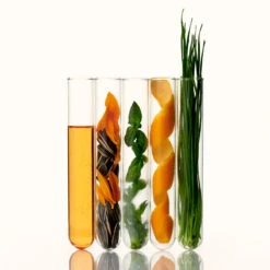 Soothing Vegan Lip Oil -Cosrx Shop SVLO IN2