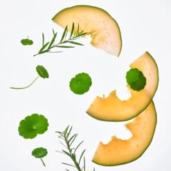 Cica Calming Powder Wash -Cosrx Shop TOCOBO CCPW 2078