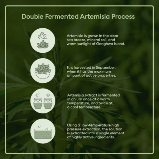 Time Revolution Artemisia Treatment Essence - Image 4