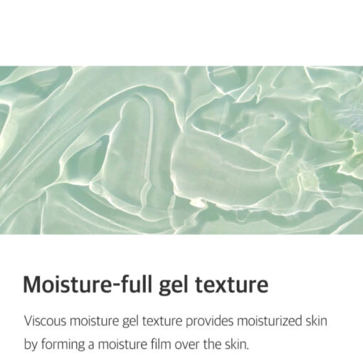 Aloe Soothing Gel Moisture Type - Image 5