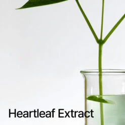 Heartleaf Pore Control Cleansing Oil -Cosrx Shop anua cleanser 200 ml heartleaf pore control cleansing oil 44277897330966