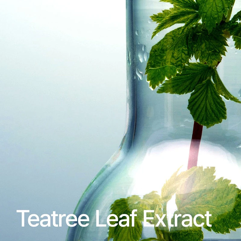 BHA 2% Gentle Exfoliating Toner 9 BHA 2% Gentle Exfoliating Toner - Image 9