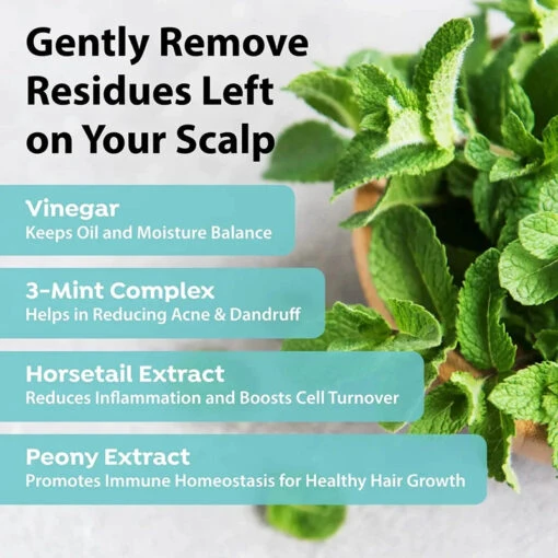Mint Scalp Hair Vinegar - Image 5