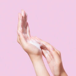 Vegan Low PH Hyaluronic Gel Cleanser 14 Vegan Low PH Hyaluronic Gel Cleanser -Cosrx Shop bff750db8c149