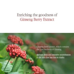 Black Tea Boosting Serum 15 Black Tea Boosting Serum -Cosrx Shop boosting serum 4 1100x d0aabd9f cb1a 4033 bab5 f0270ac9bf4f