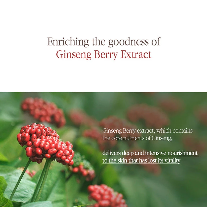 Black Tea Boosting Serum 6 Black Tea Boosting Serum - Image 6