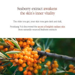 Black Tea Boosting Serum 18 Black Tea Boosting Serum -Cosrx Shop boosting serum 7 1100x 475b20d5 9558 4ba1 bc50 176aeeab86c4