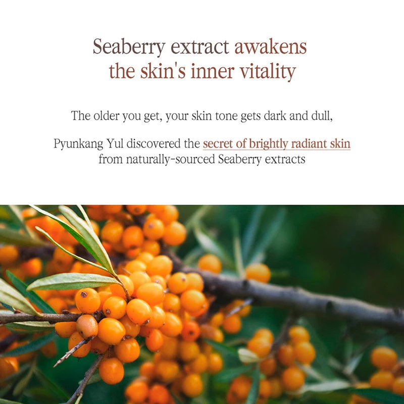 Black Tea Boosting Serum 9 Black Tea Boosting Serum - Image 9