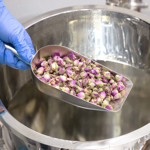 Reviving Rose Infusion Serum - Image 7