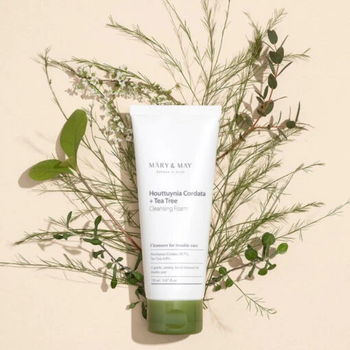 Houttuynia Cordata + Tea Tree Cleansing Foam - Image 2